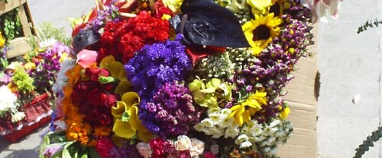 Feria de las Flores 2027 — Medellín